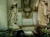 image of grave number 416038